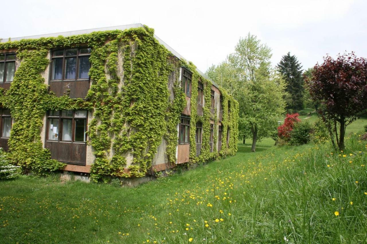 Parkblick Appartement - Entspannung pur! Ober-Hambach Extérieur photo
