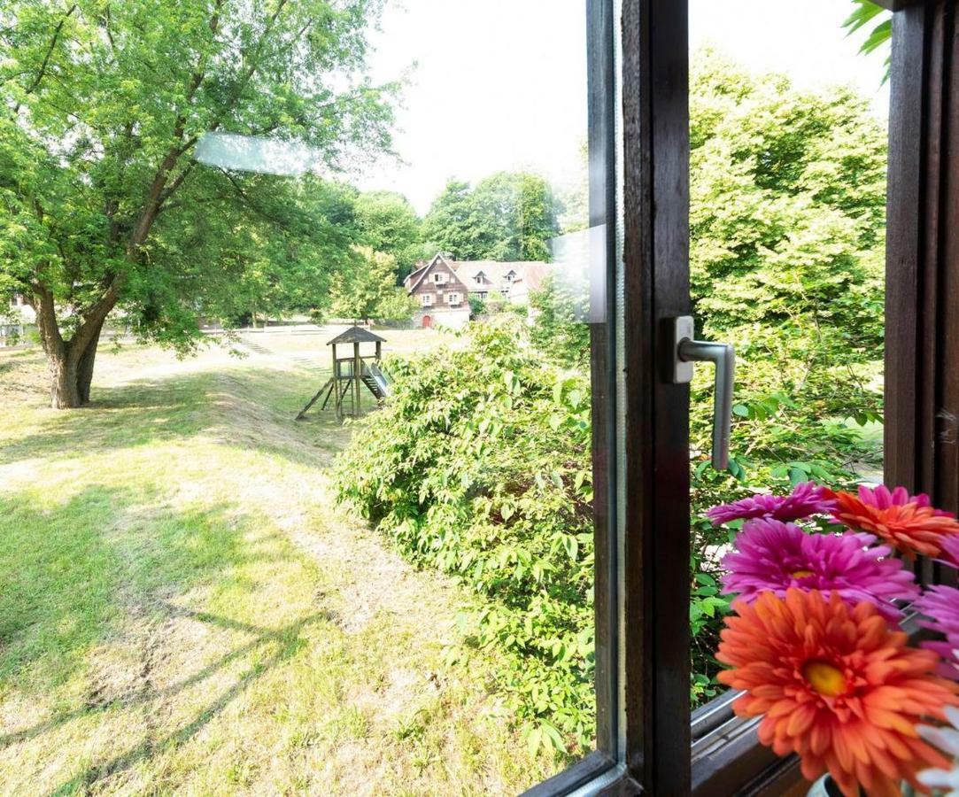 Parkblick Appartement - Entspannung pur! Ober-Hambach Extérieur photo